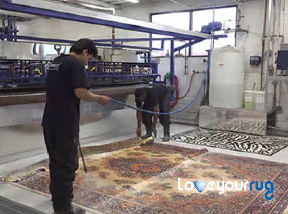 Persian rug cleaning Oshawa