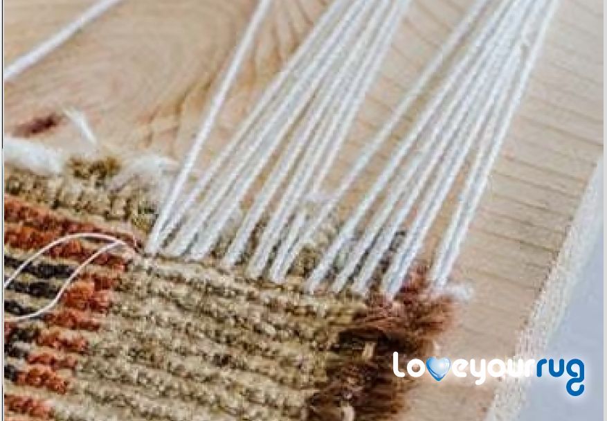 Rug disinfectant treatment Oshawa