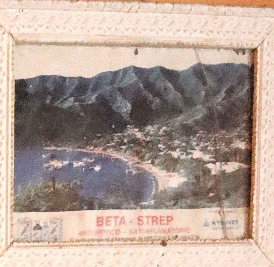 Una imagen de una bahía con montañas al fondo está etiquetada como beta-strep