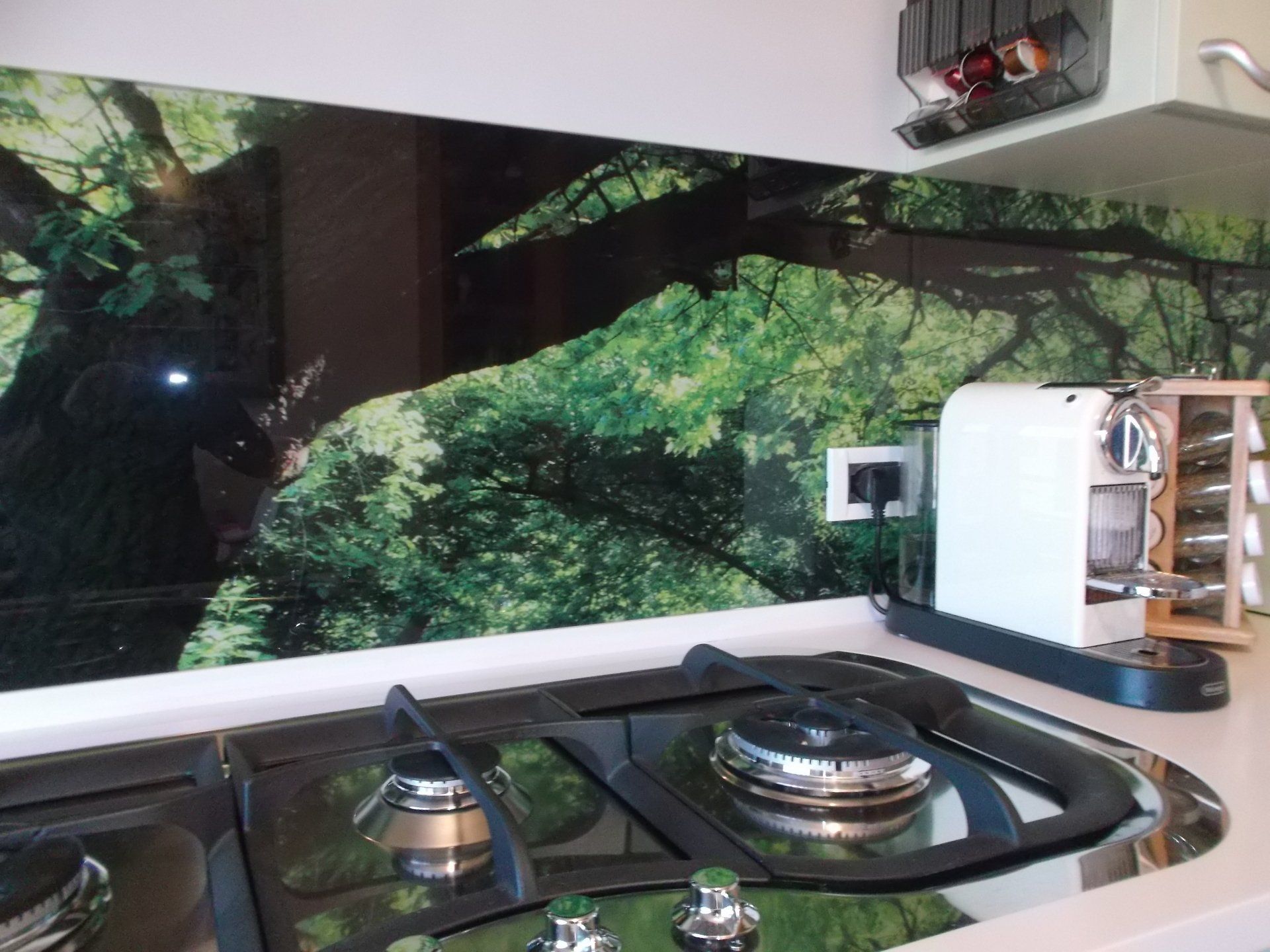 Cucina con paraschizzi a tema forestale, piano cottura a gas, macchina per caffè espresso.