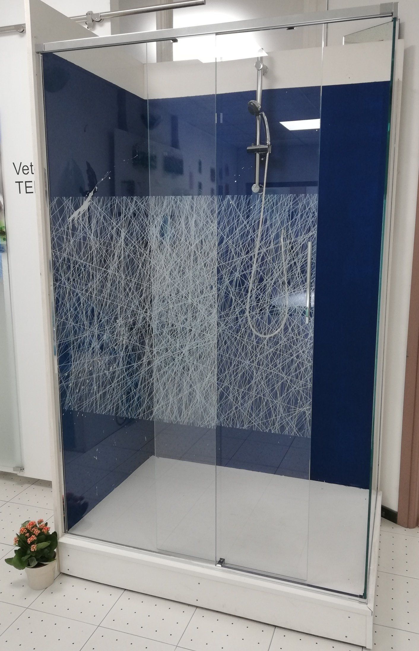 Box doccia con pannello in vetro satinato blu e telaio bianco; piccola pianta in primo piano.