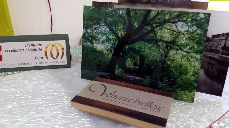 piccola lastra in vetro stampato con foresta