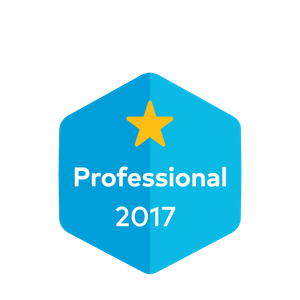 Thumbtack Professional 2017
