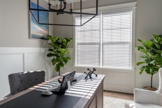 Home office with desk, two plants, and a window with blinds.