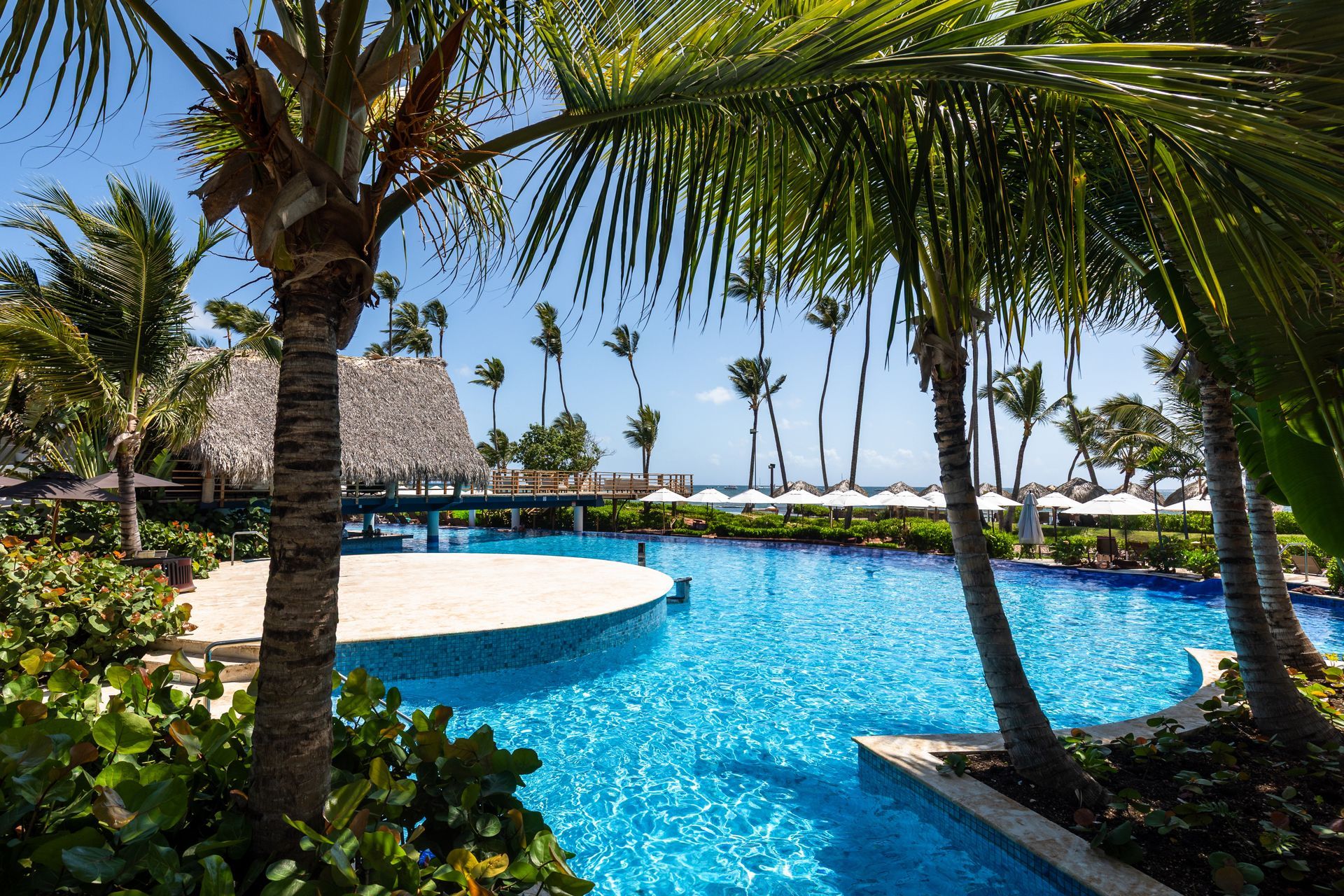 Swimming pool with palm trees, bright blue water, and view of the ocean.