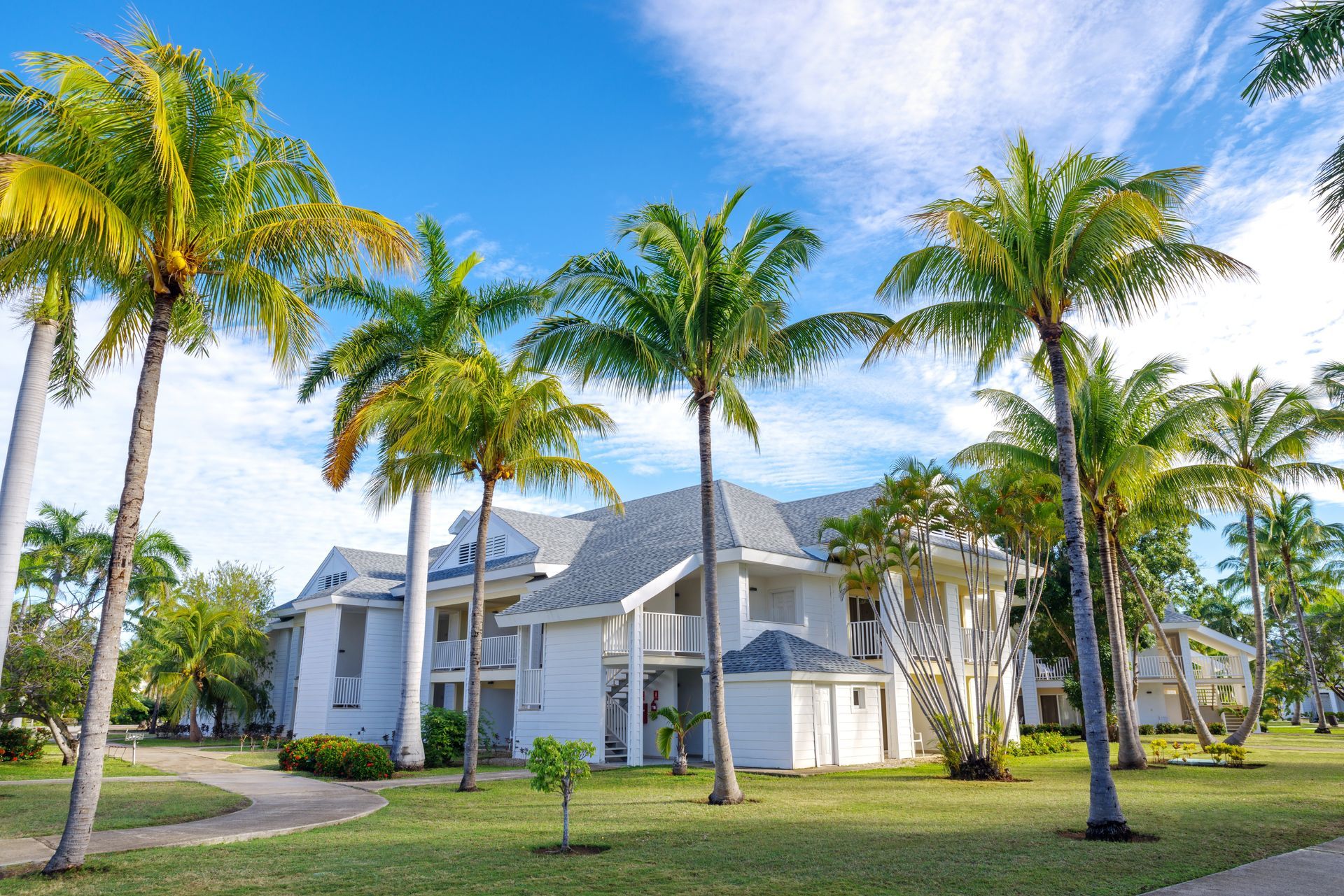 Palm trees frame white buildings with gray roofs under a blue sky.