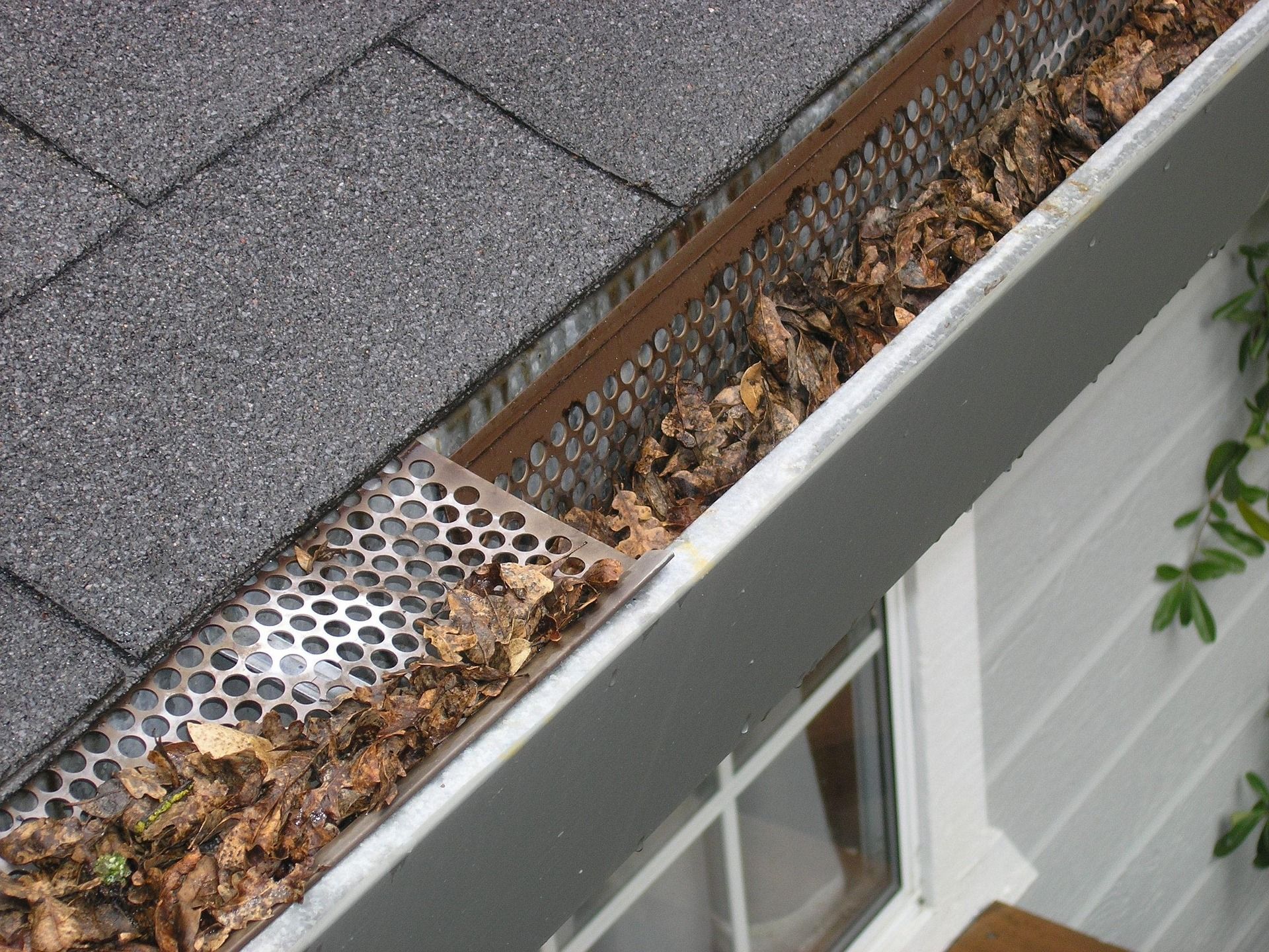 Gutter filled with leaves, covered by a metal screen on a house roof.