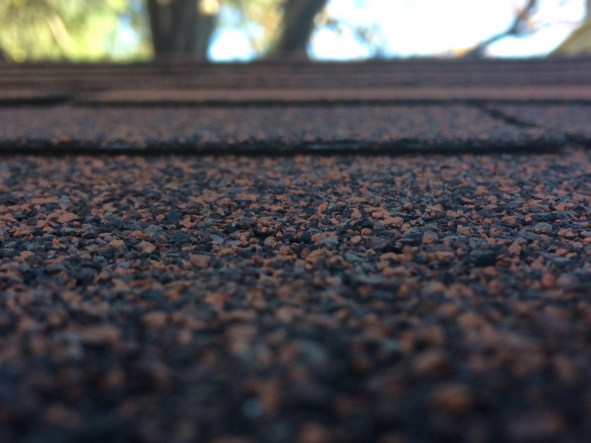 Close-up of a brown shingle roof with a blurred background of trees and sky.