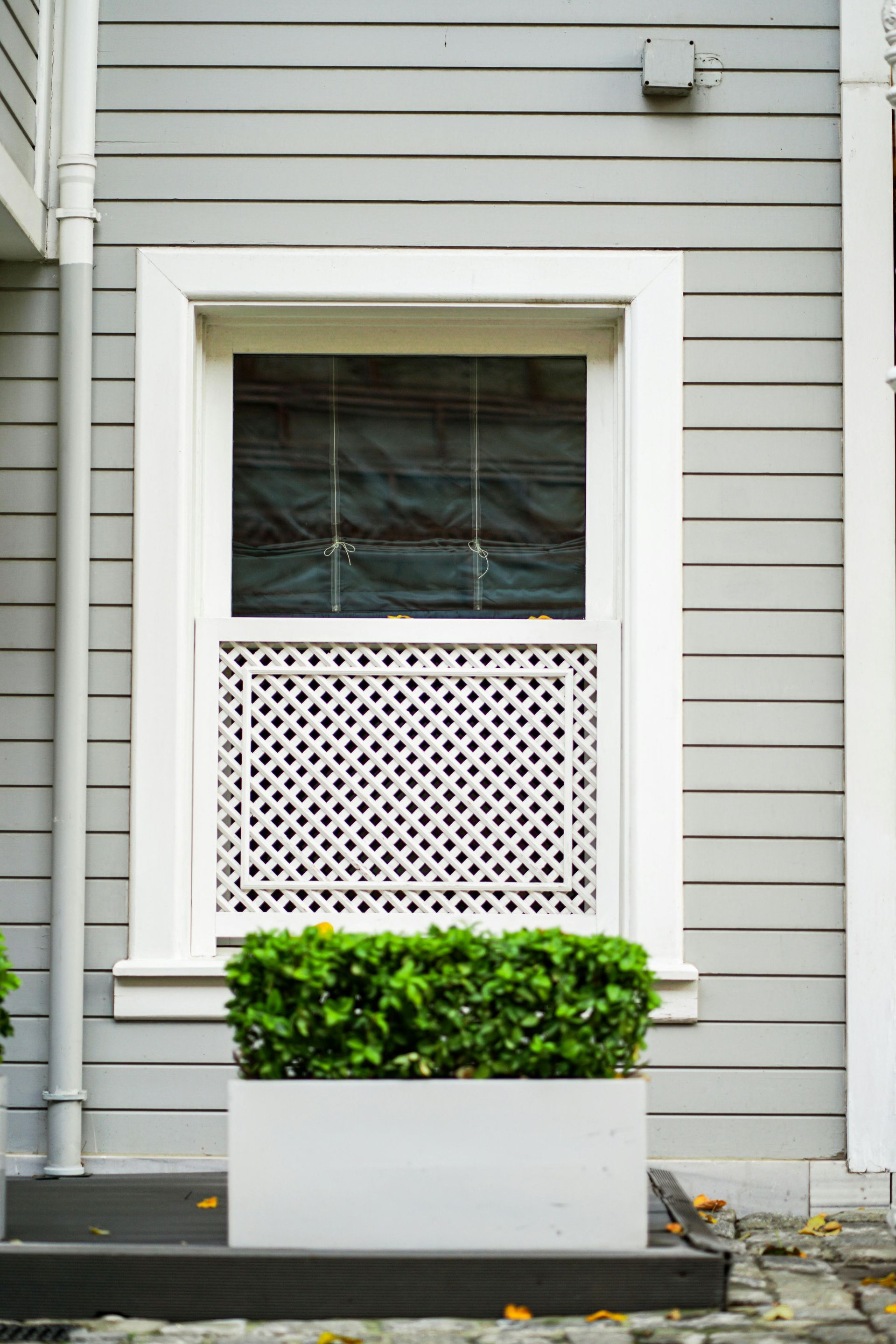 Gray house window with white trim, trellis, and planter box with green plants.