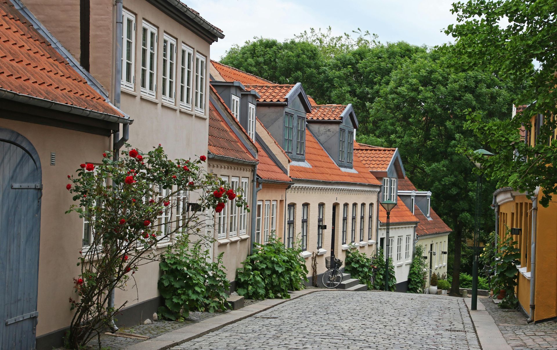 Cobblestone street lined with colorful historic buildings under a red tile roof and green trees.