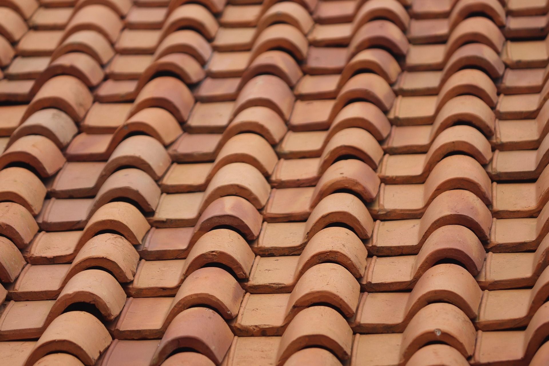 Red terracotta roof tiles in a repeating curved pattern.