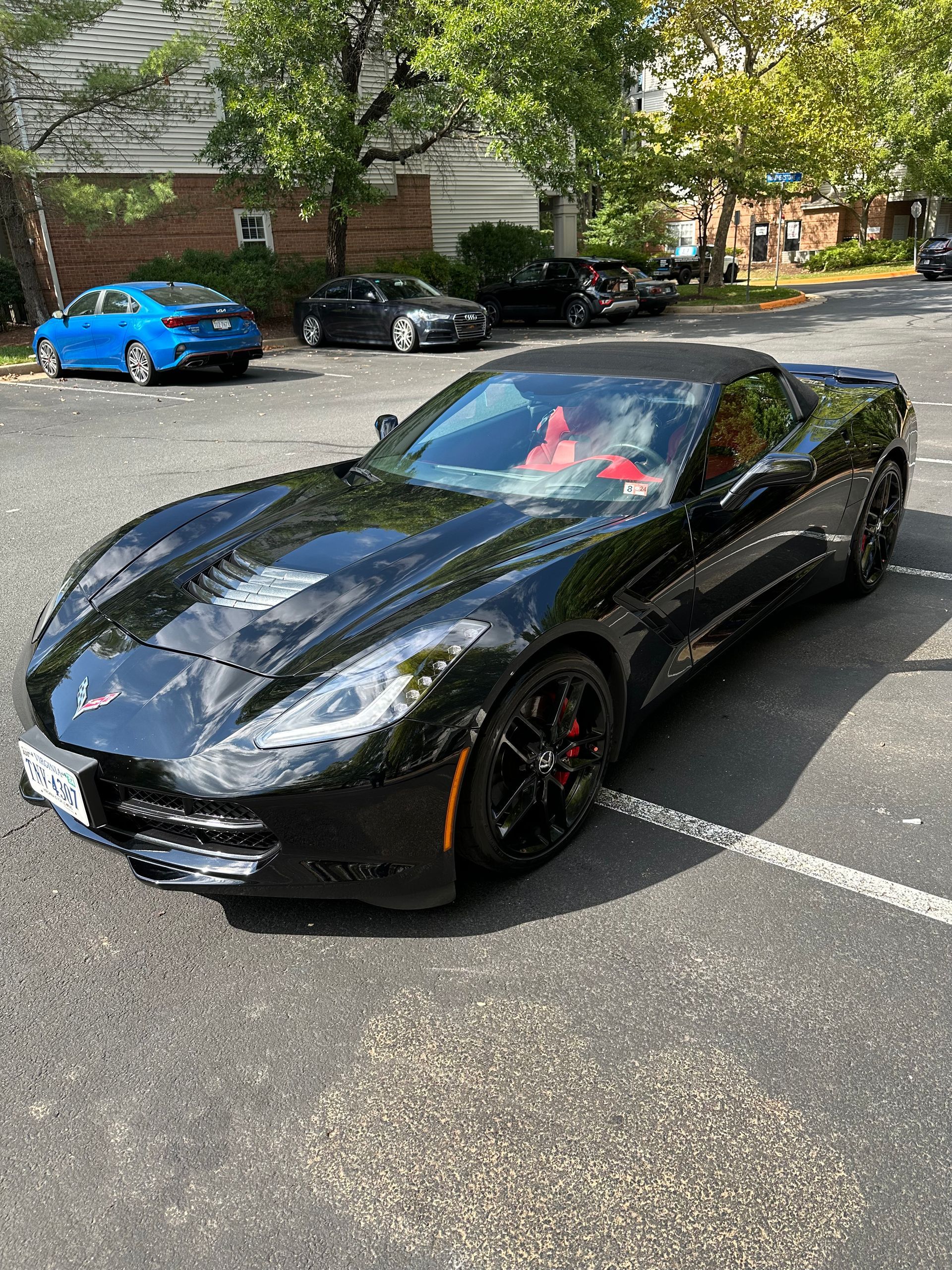 Paint Correction for cars