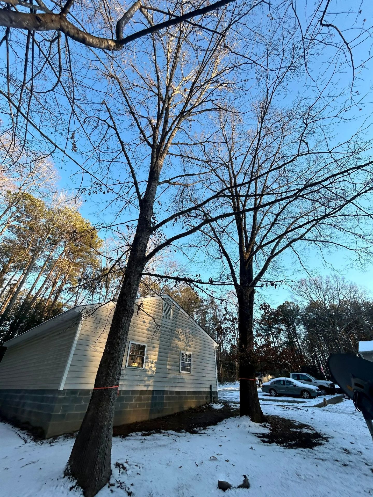 A house with light siding and a block foundation sits on snowy ground under large, bare trees against a clear blue sky.