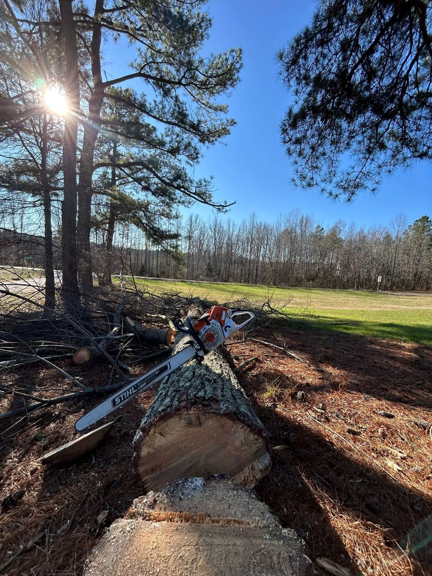 A chainsaw rests on a freshly cut log in a sunlit, wooded clearing under a clear blue sky.