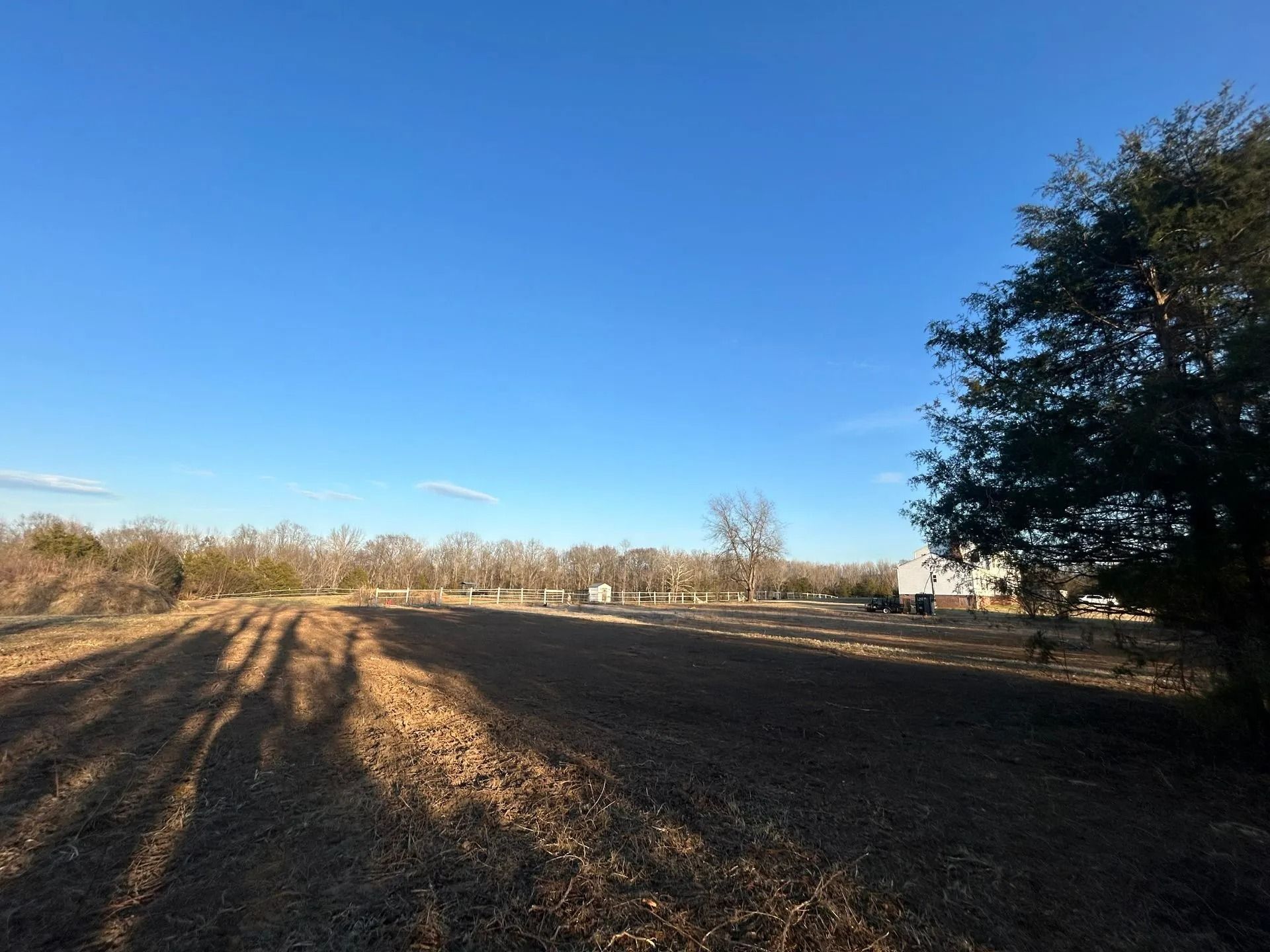 A large, open, tilled field under a clear blue sky, with a large tree in the foreground and distant trees and buildings.
