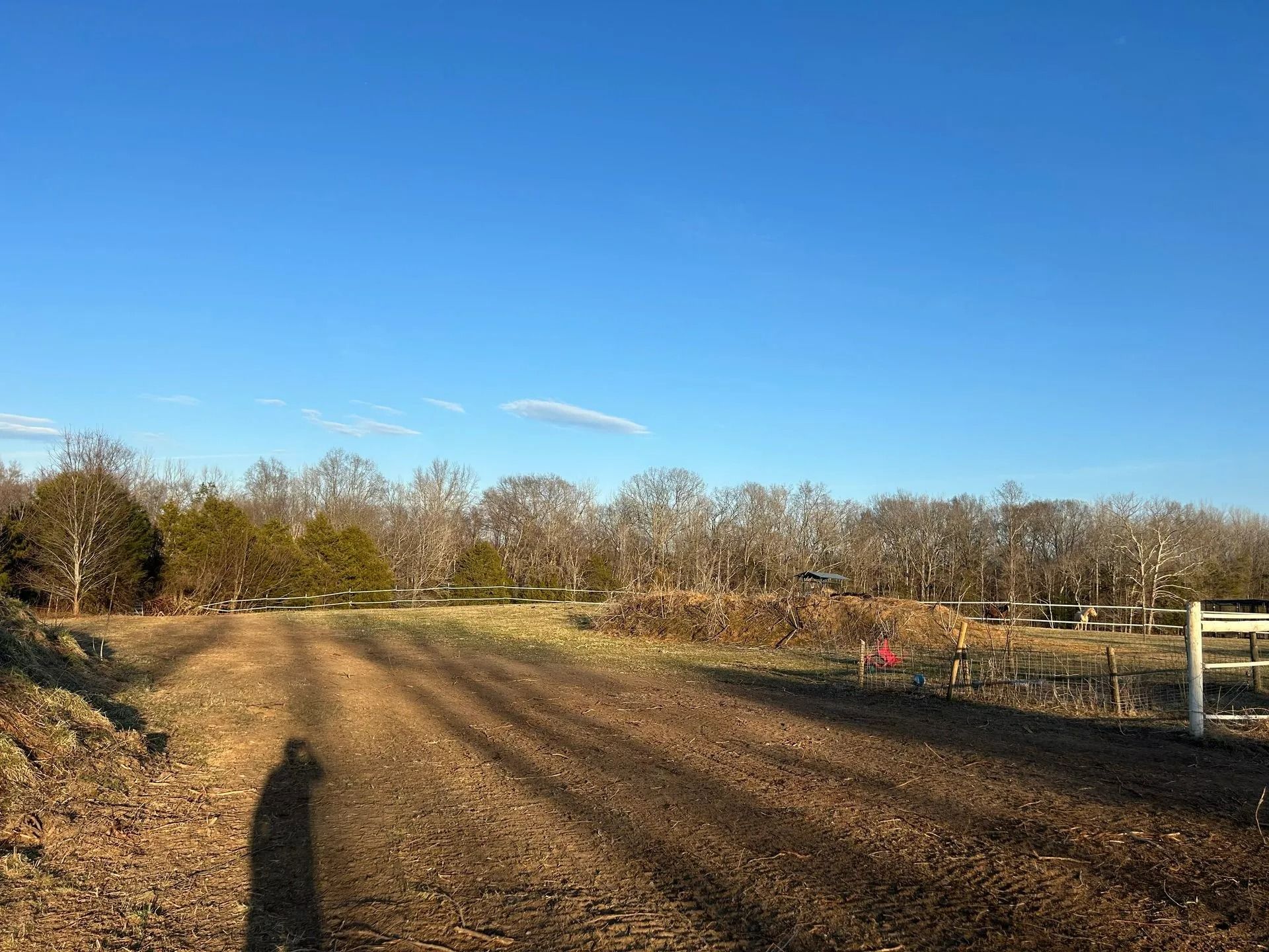 A dirt path leads through a rural field toward a line of bare trees under a clear blue sky, with a long shadow in front.