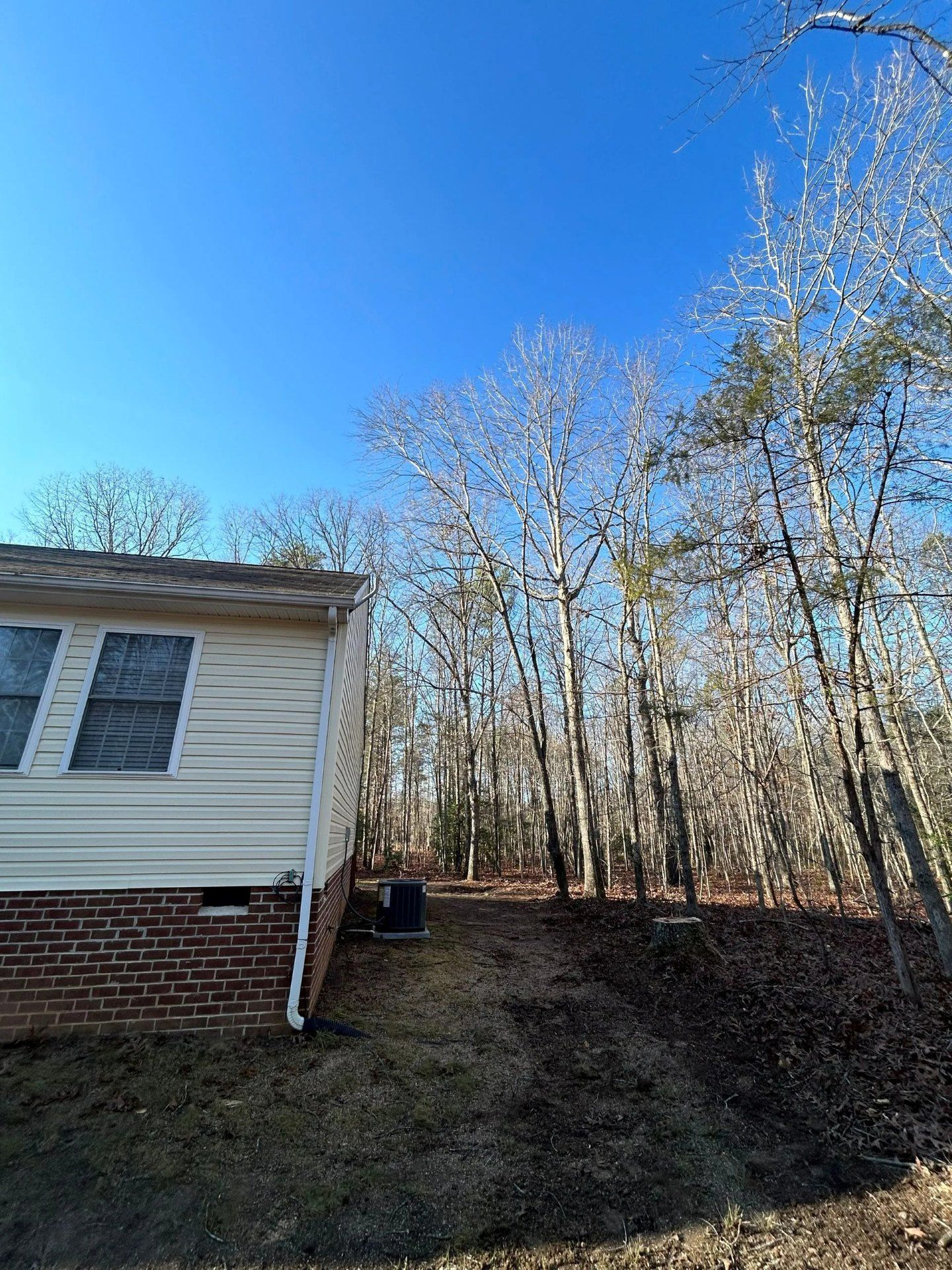 A side view of a house with beige siding and a brick foundation, bordered by a dense, leafless forest under a clear sky.