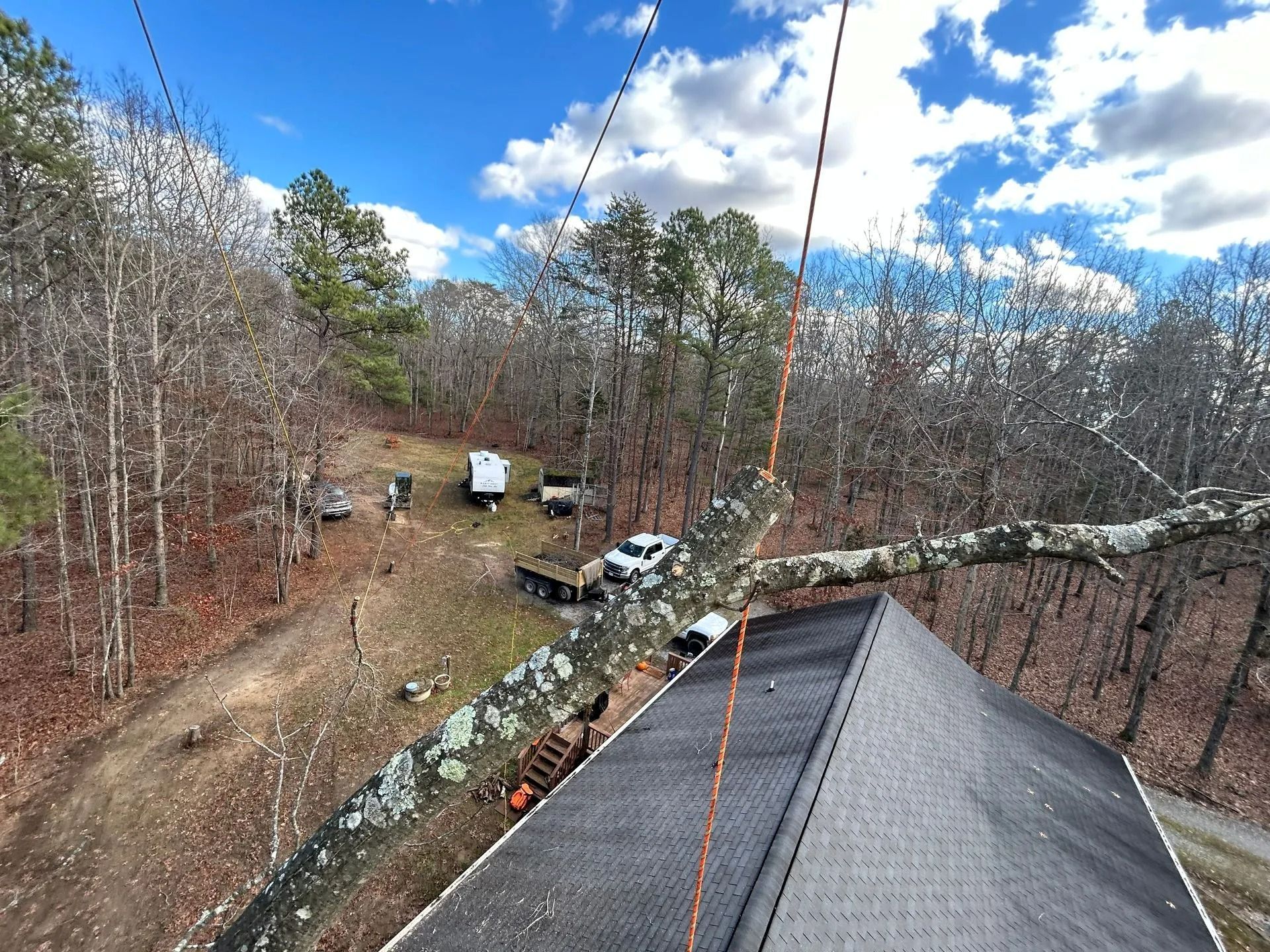 A high-angle view shows a large tree limb being rigged with ropes above a metal roof in a wooded area with parked vehicles.