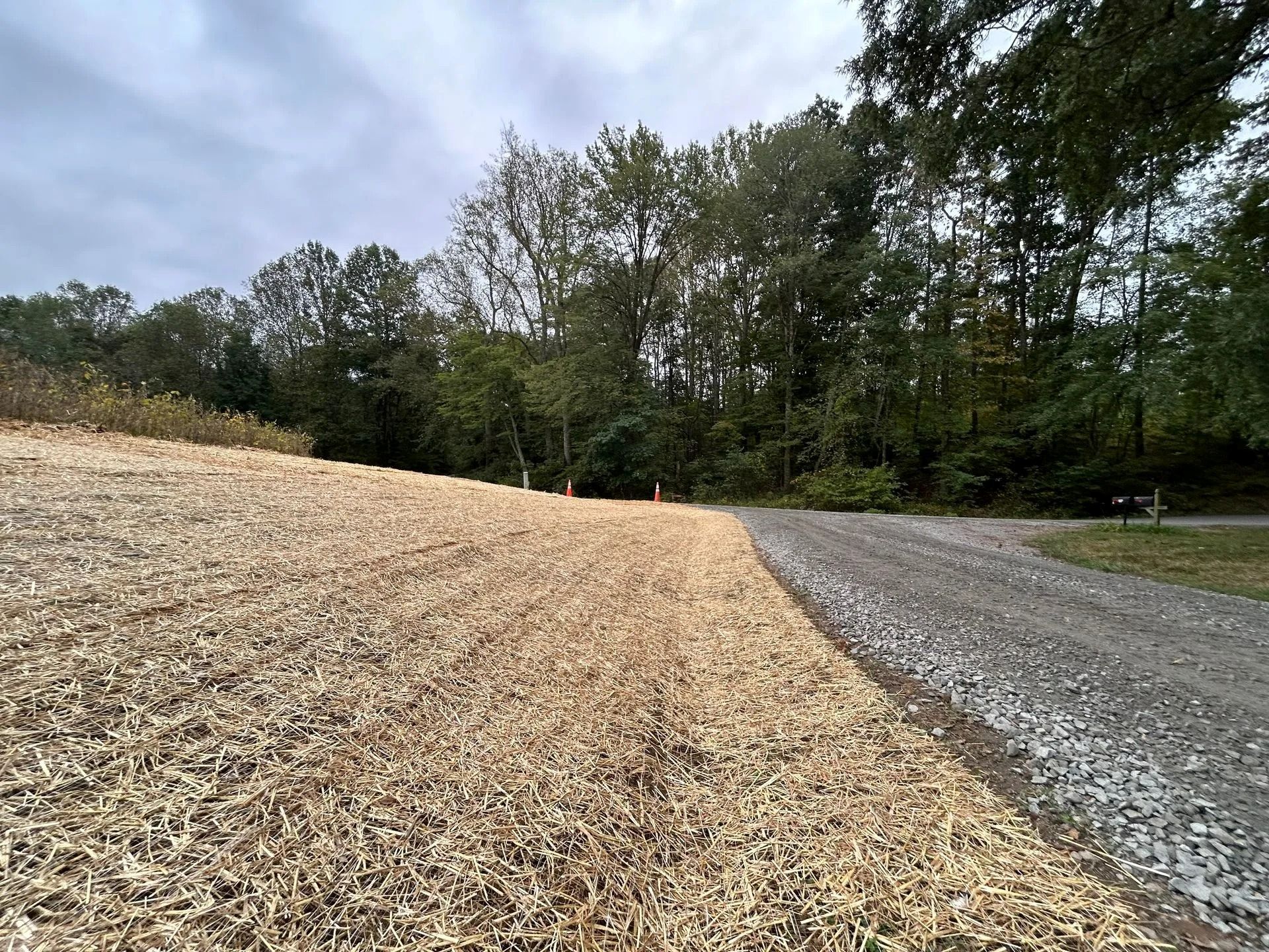 A gravel path runs alongside a freshly mulched slope leading to a line of trees under a cloudy sky.