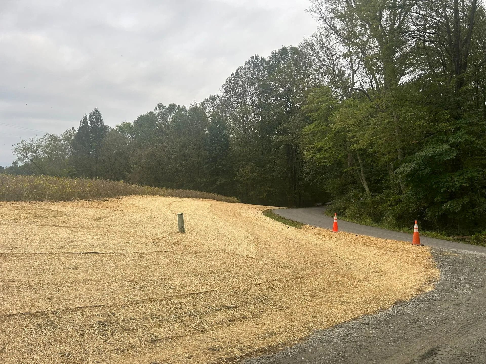 A freshly mulched dirt lot with two orange traffic cones bordering a paved road leading into a treeline.