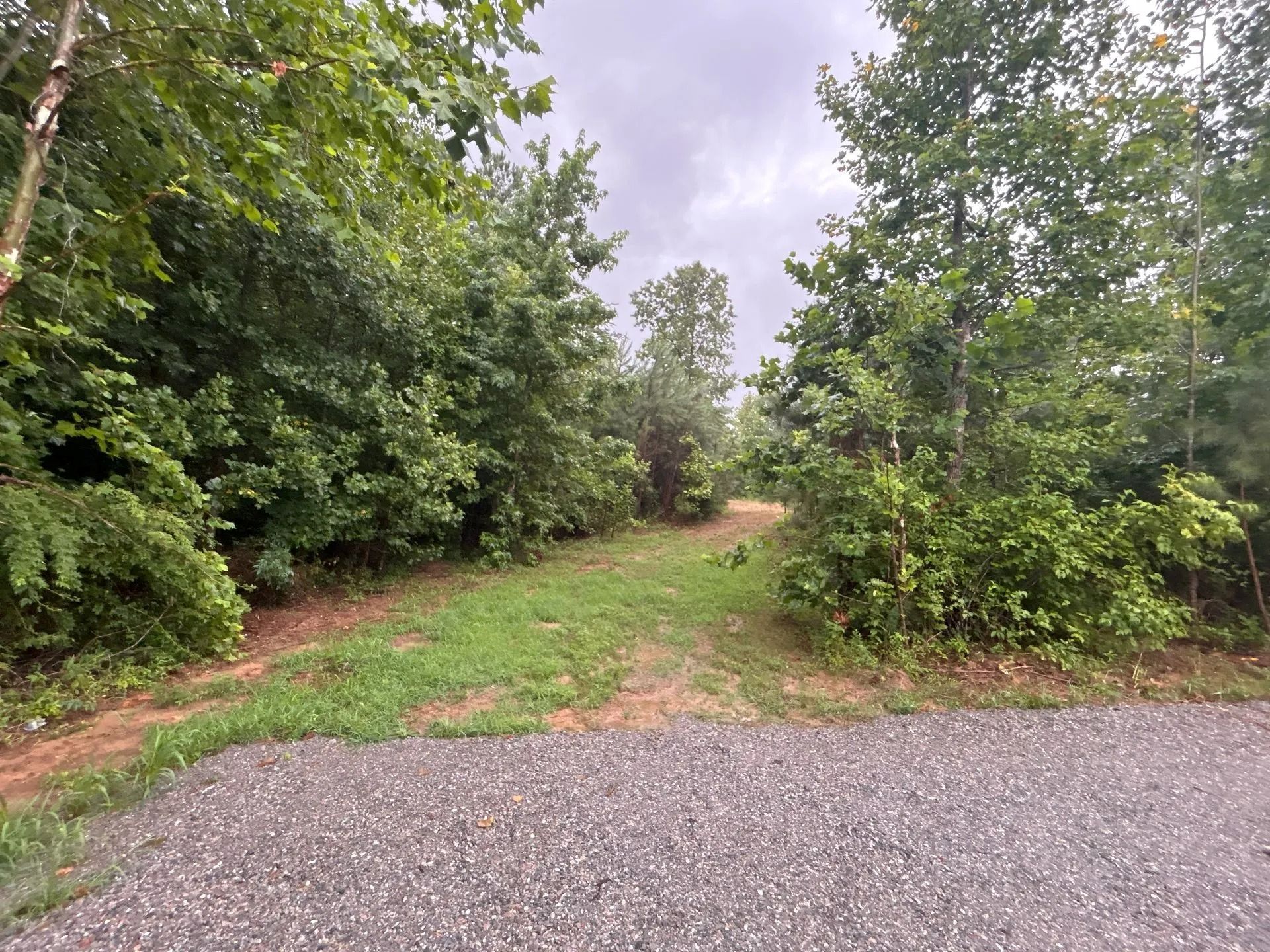 A gravel driveway meets a grassy path leading into a dense, green wooded area under a cloudy sky.