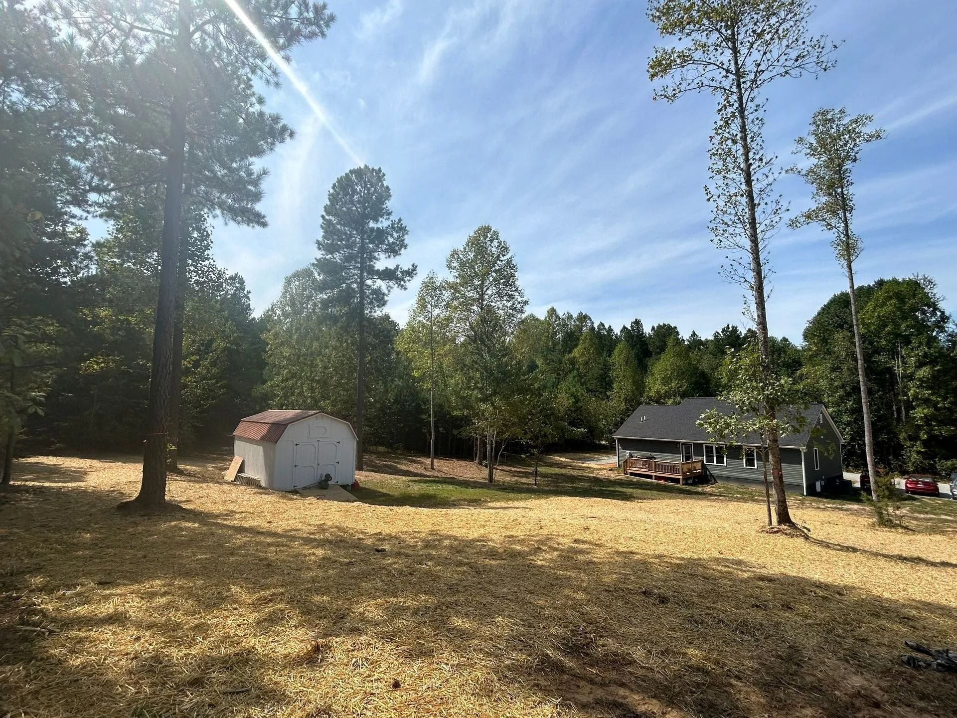 A sunlit clearing covered in wood chips, with a small shed on the left and a gray house in the background among trees.