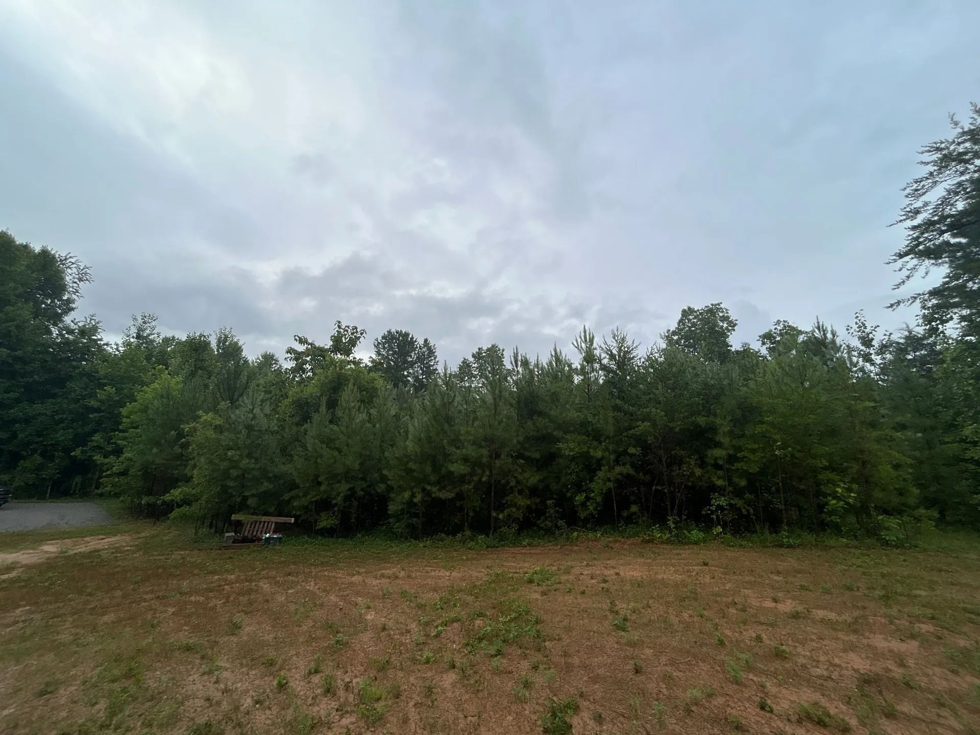A grassy field leads to a dense tree line under a cloudy sky, with a small bench tucked near the foliage.