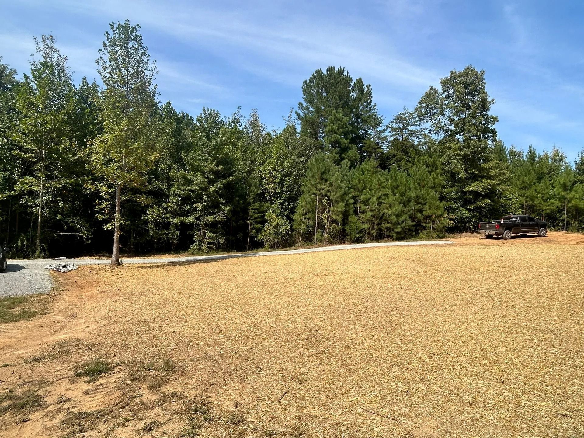 A dirt and straw-covered lot sits in front of a dense forest line under a clear blue sky, with a truck parked to the right.