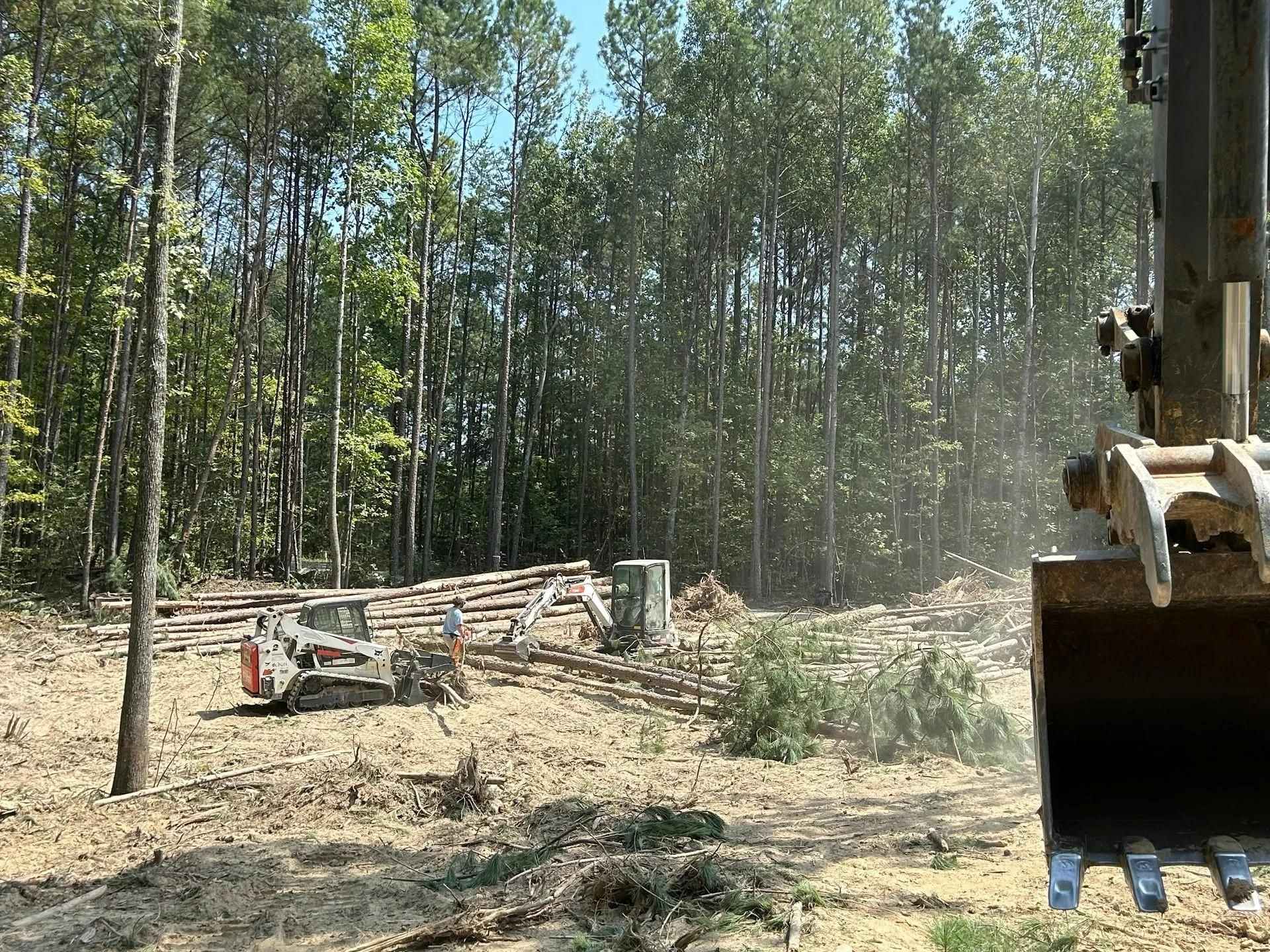A construction vehicle bucket in the foreground overlooks a clearing where a skid steer works near felled trees.