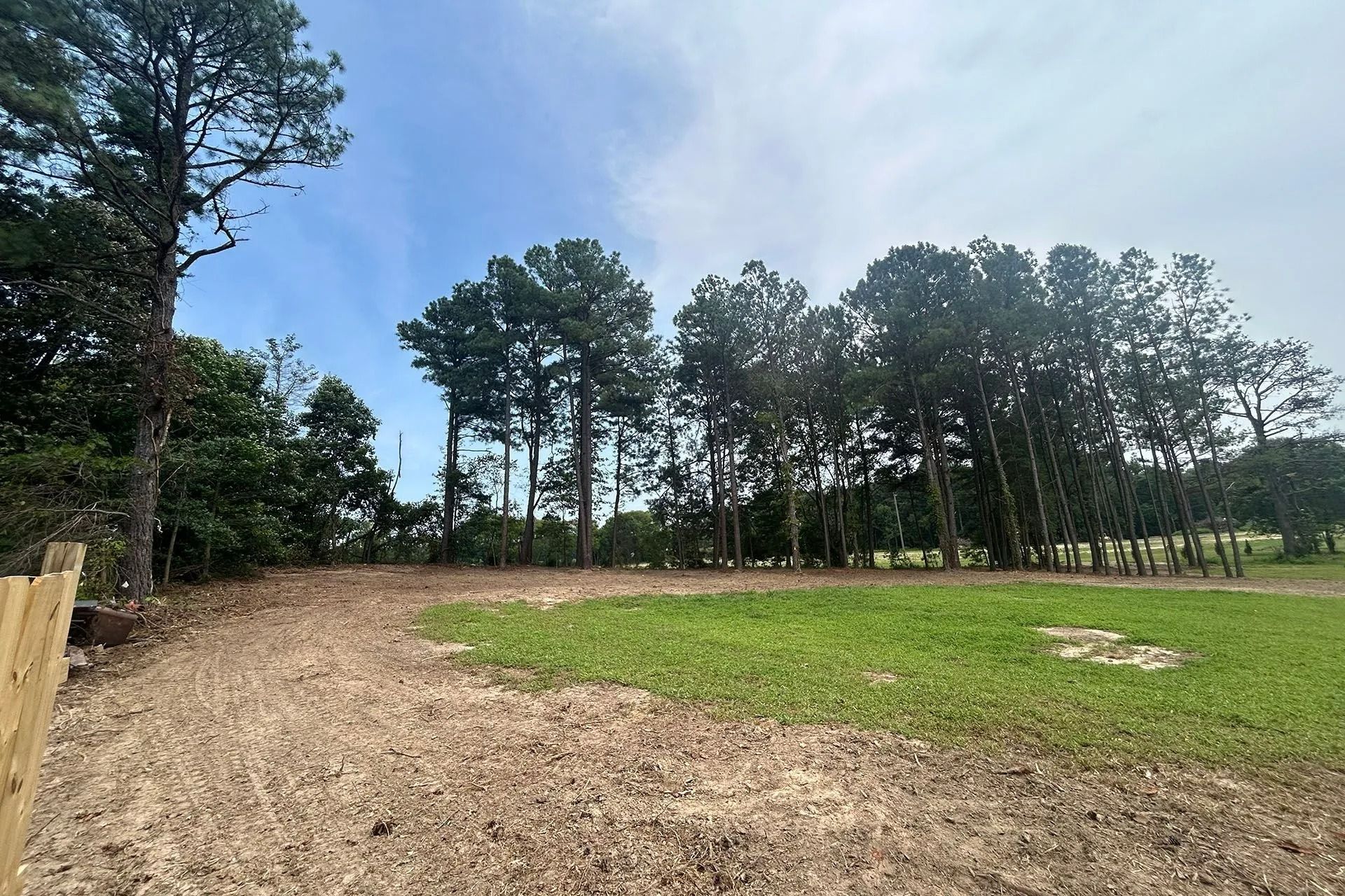 A cleared dirt lot transitioning into a grassy field, lined by a row of tall pine trees against a blue sky.