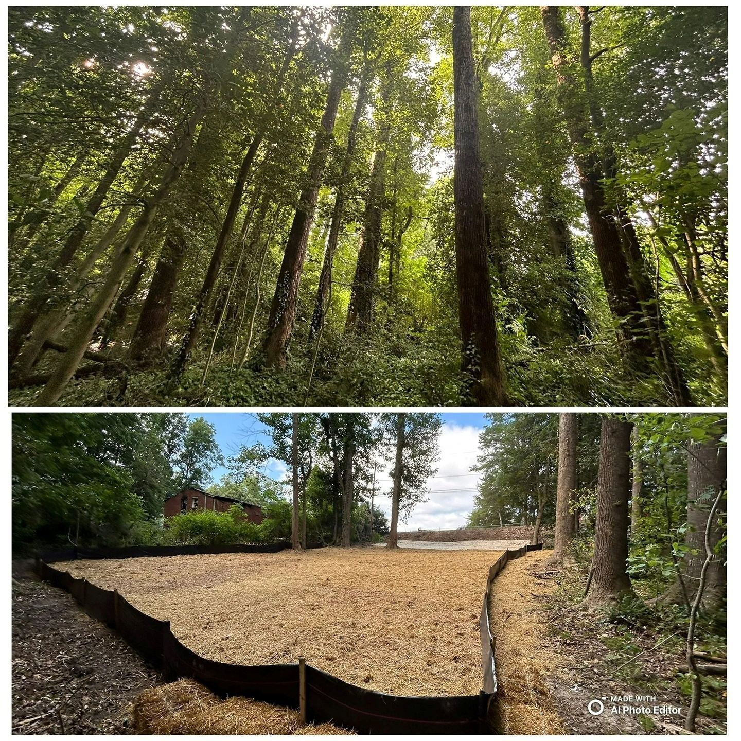 A two-panel view: a lush, dense forest canopy above and a cleared, woodchip-covered lot bordered by silt fencing below.