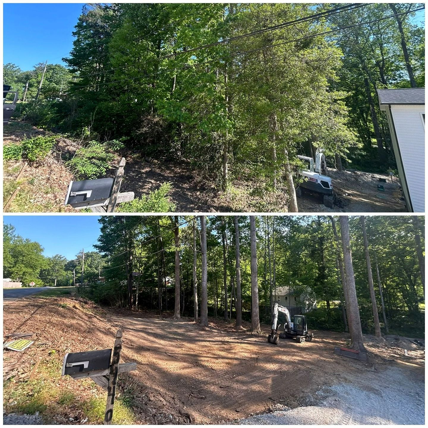 A before-and-after shot showing a dense, overgrown wooded area cleared of low vegetation and brush near a mailbox.