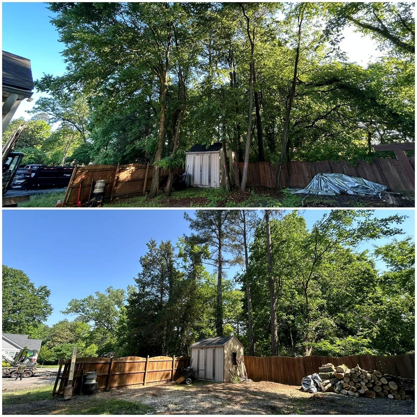 Before-and-after comparison showing a backyard cleared of dense overhanging trees near a wooden fence and shed.