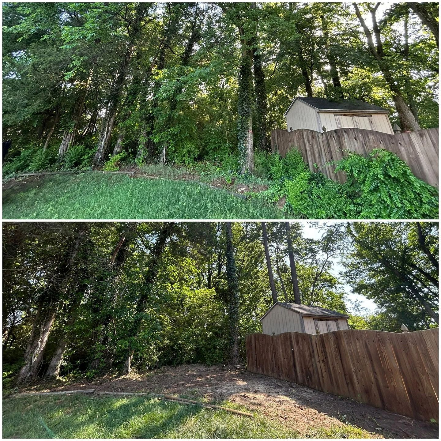 Before and after images showing a wooded backyard corner cleared of dense brush and overgrown vegetation.