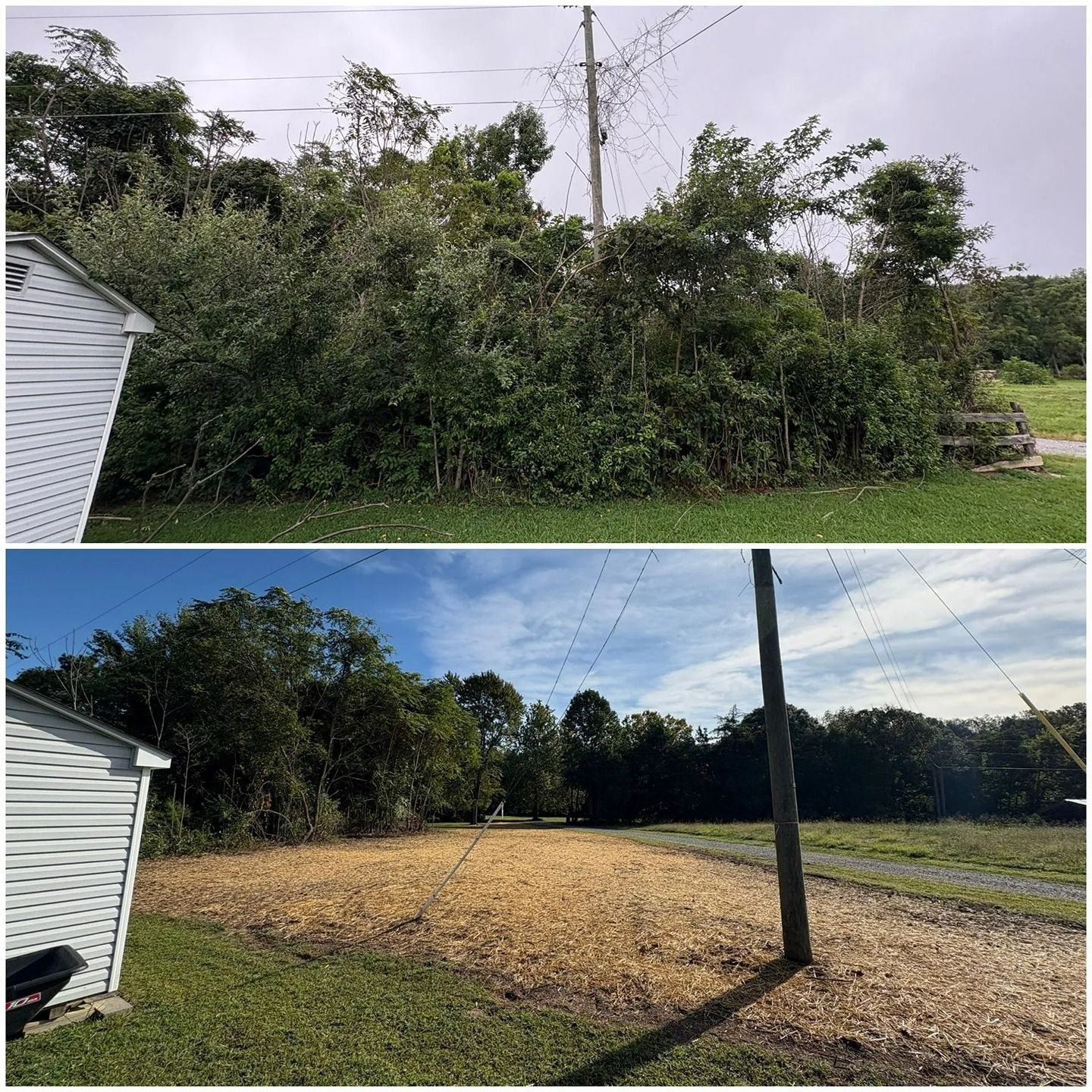 Before and after photos of a residential lot cleared of dense, overgrown vegetation, leaving a layer of wood mulch.