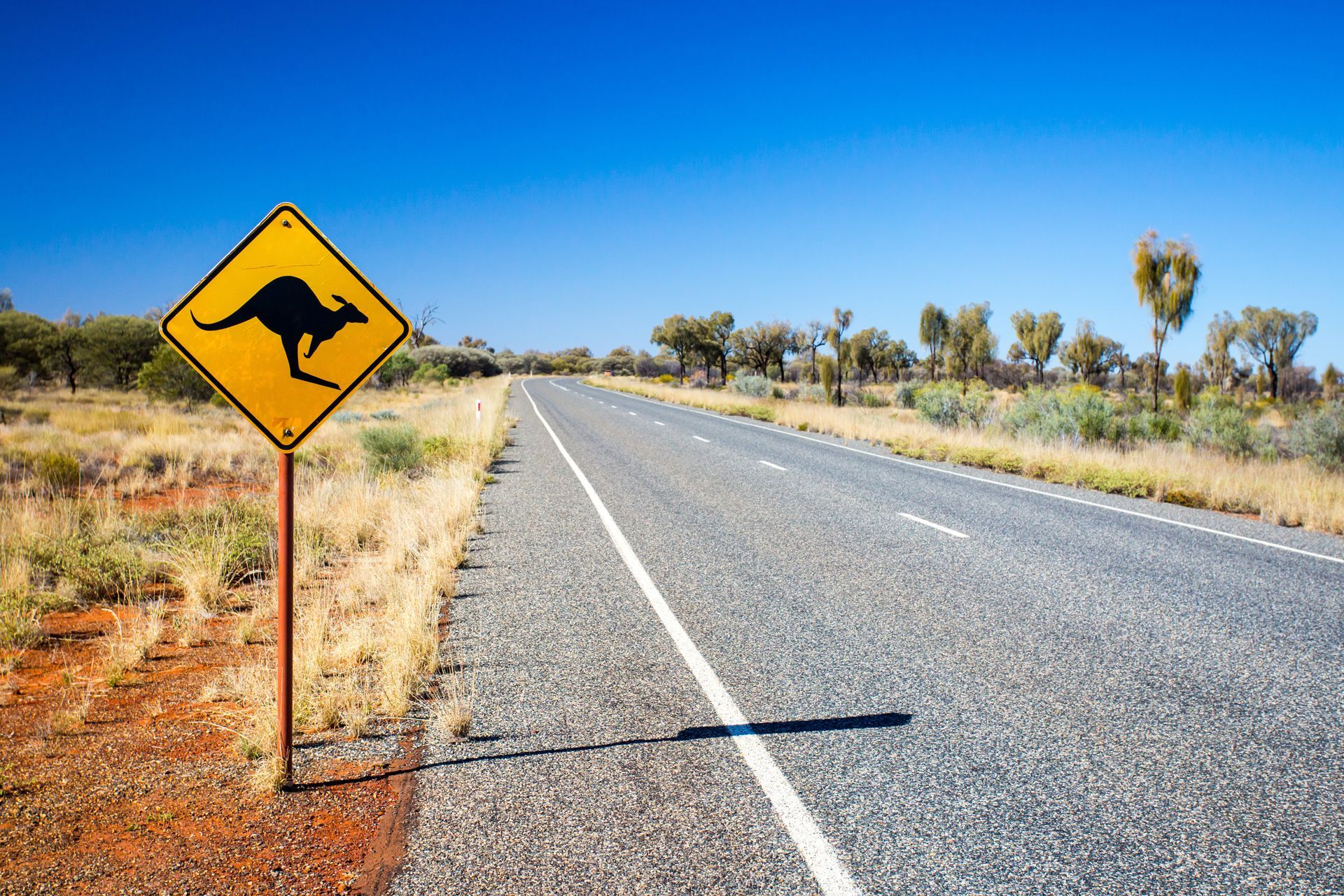 A Yellow Sign With A Kangaroo On It Is On The Side Of A Road — PK Crash Repairs In Uluru, NT