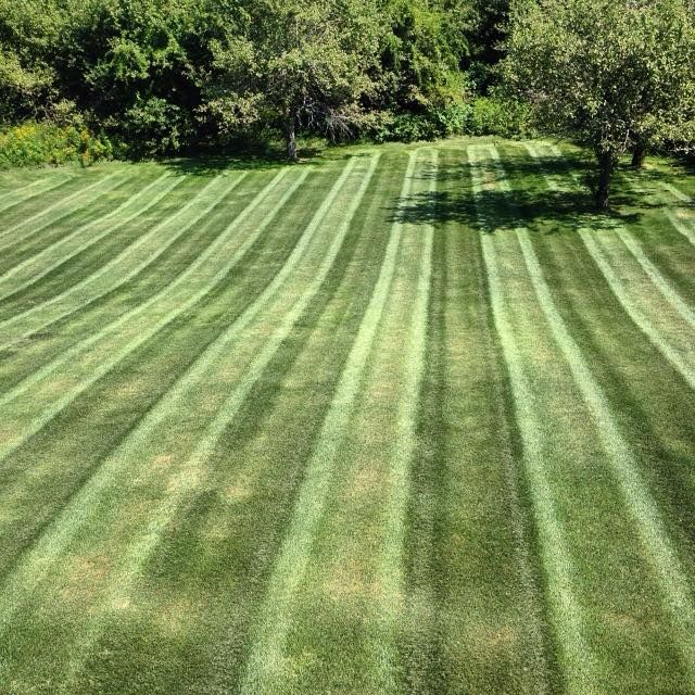 Lawn mowed in alternating stripes of light and dark green, curving towards a tree line.