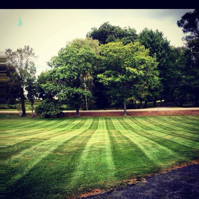 Lawn with evenly cut stripes leading to a tree line under a cloudy sky.
