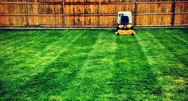 Stone path curves through lush green lawn, leading to house with blue hydrangeas along a stone retaining wall.