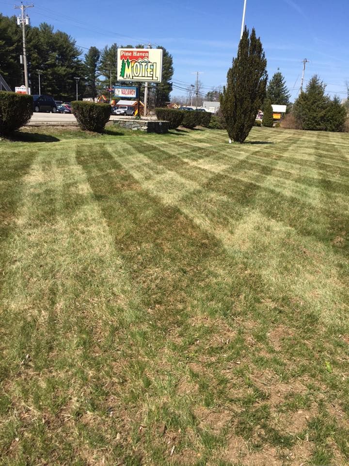 Lawn with striped pattern; a business sign in the background on a sunny day.