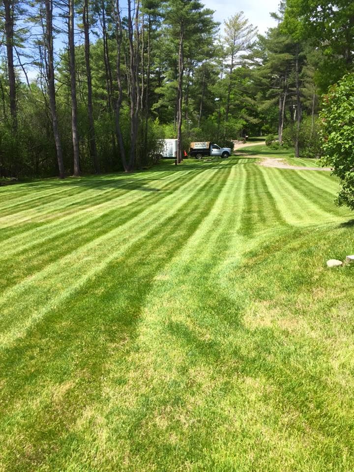 Lawn with striped pattern, freshly mowed. Trees and a truck in the background. Green grass and blue sky.
