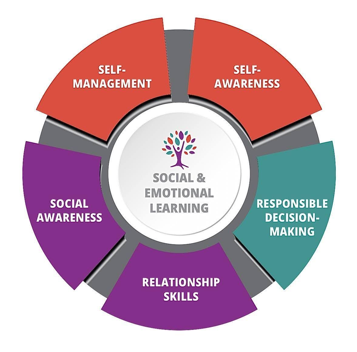 A diagram showing the components of social and emotional learning