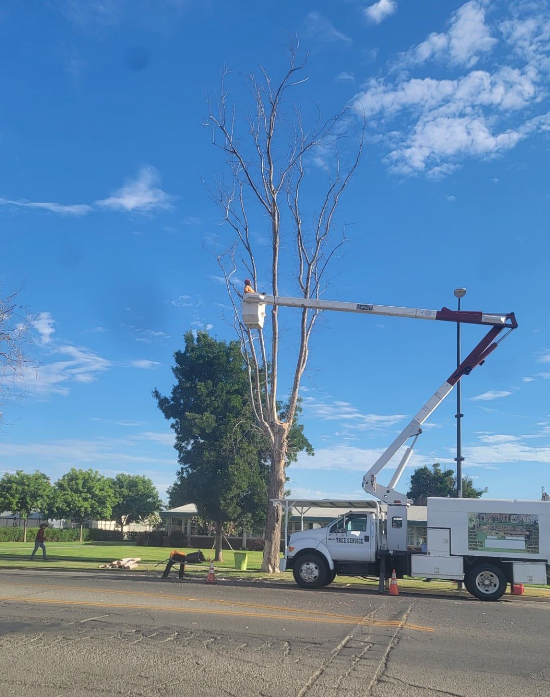 A white truck with a crane attached to it is cutting a tree.