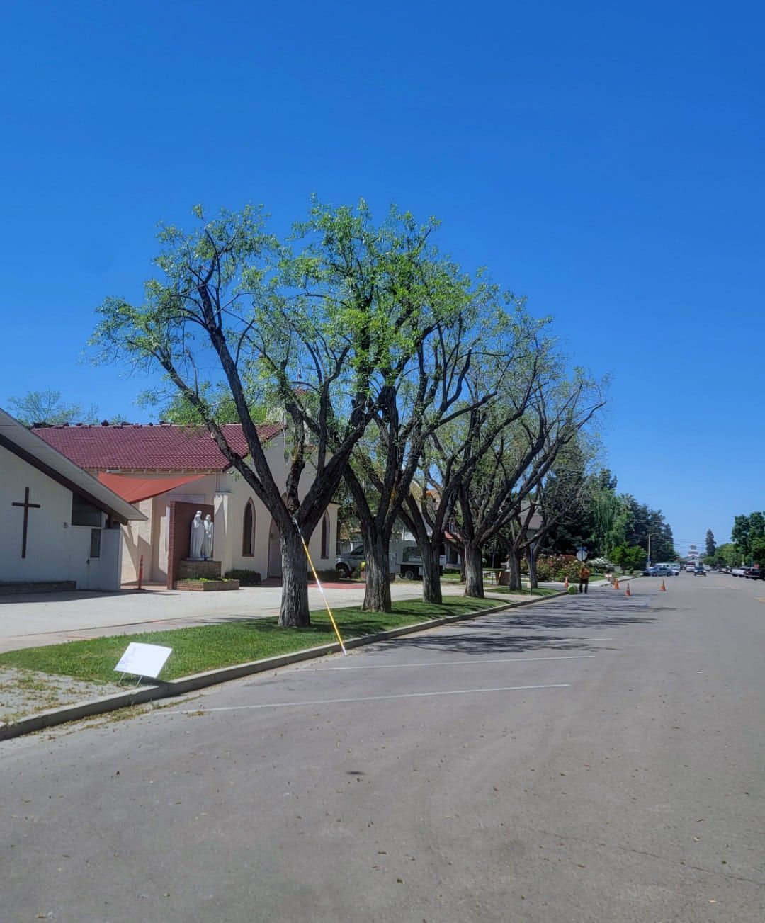 A row of trees on the side of a road in front of a church.