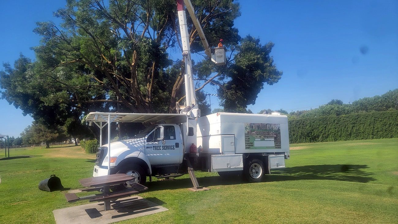 A white truck is parked in a grassy field next to a picnic table.