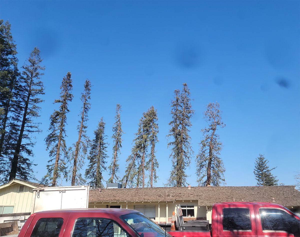 A red truck is parked in front of a house with trees in the background