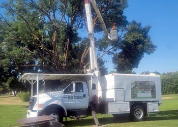 A white truck with a crane attached to it is cutting a tree.