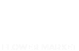 A white background with a few lines on it