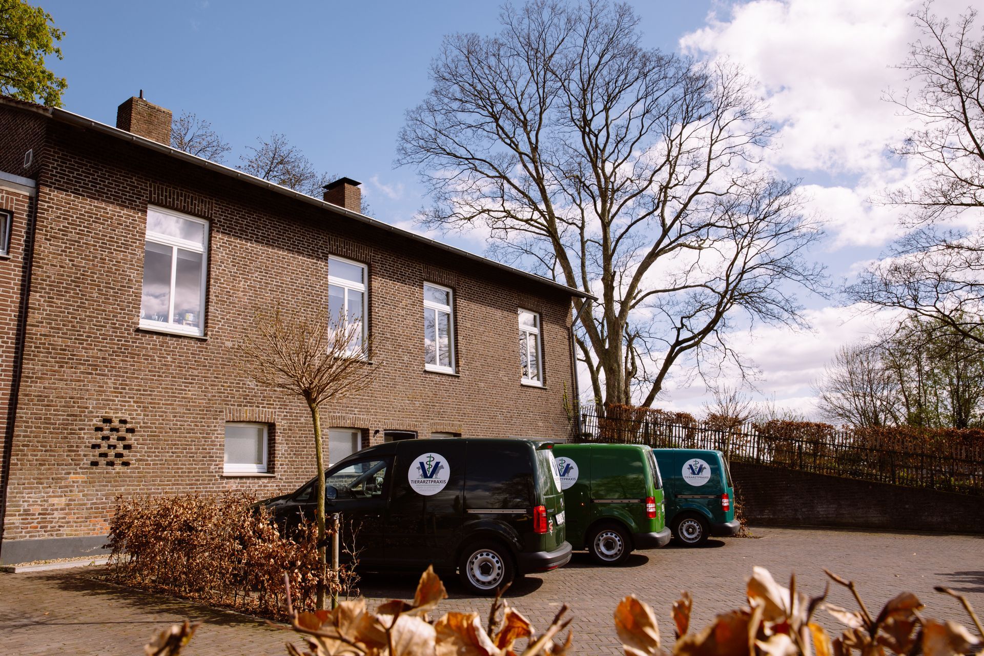 Drei Lieferwagen parken vor einem Backsteingebäude. Im Vordergrund ein kahler Baum und Laubwerk.