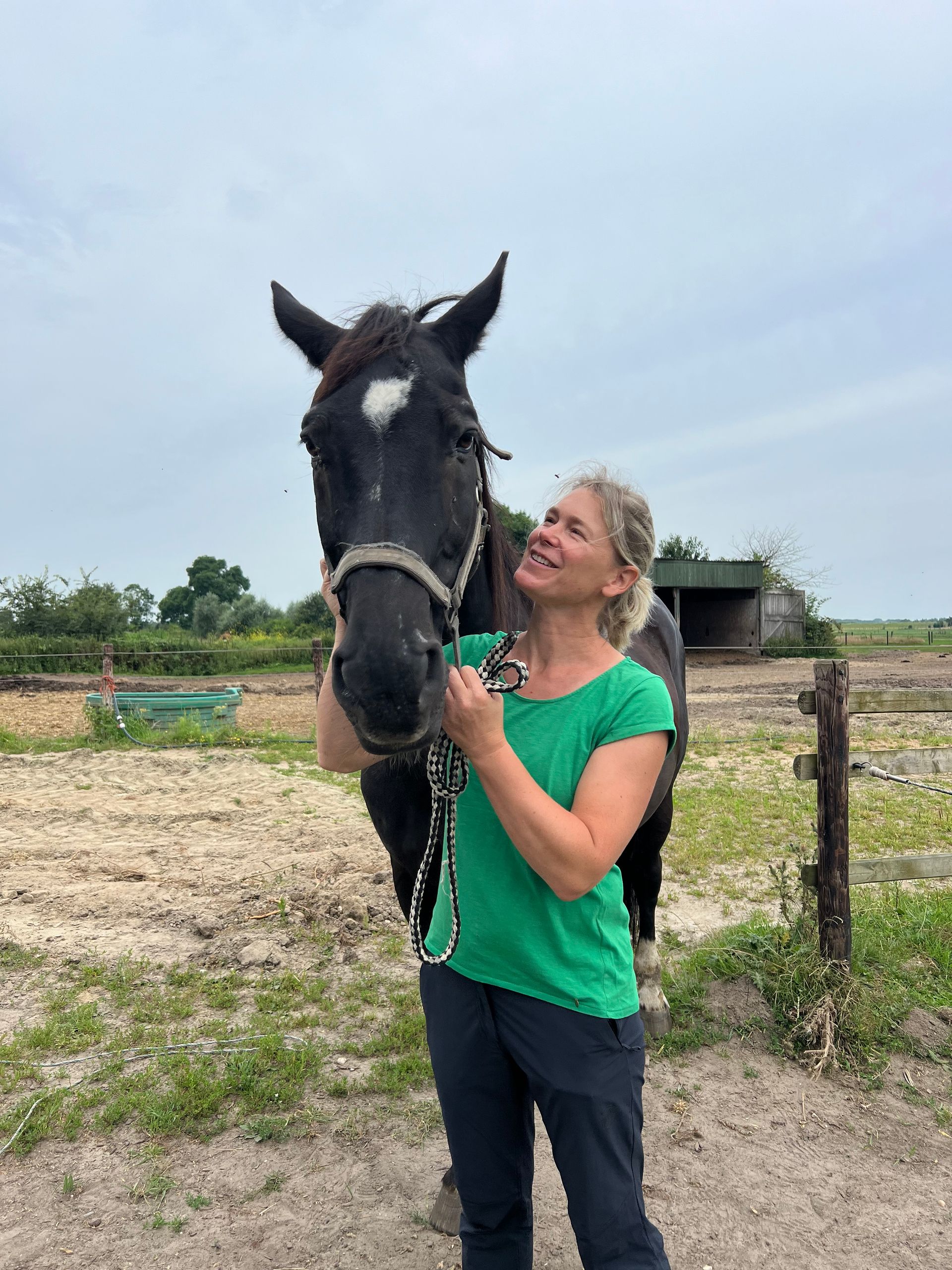 Frau in grünem Hemd lächelt, hält den Zaum eines schwarzen Pferdes, weißes Diamantgesicht, Szene im Freien.
